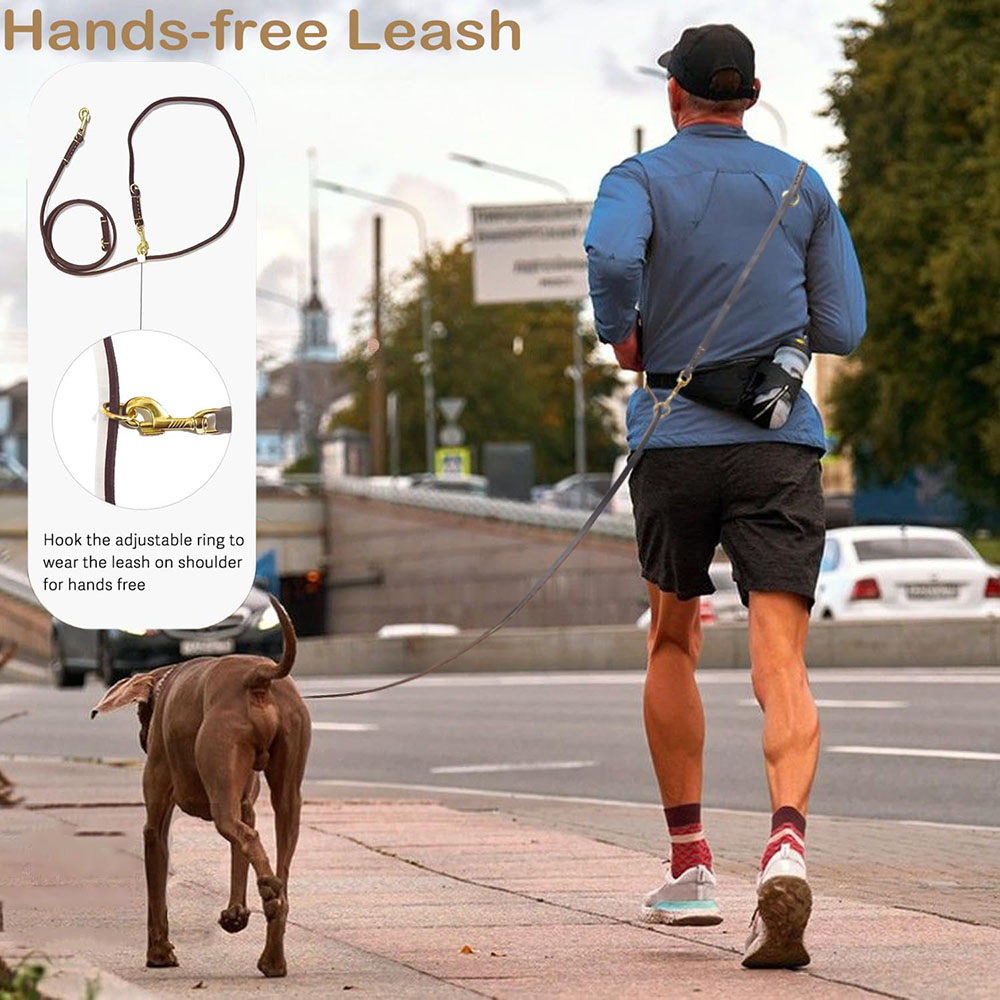 Multi Function Leather Dog Lea - Leather Strap Quick Release recension och pris
